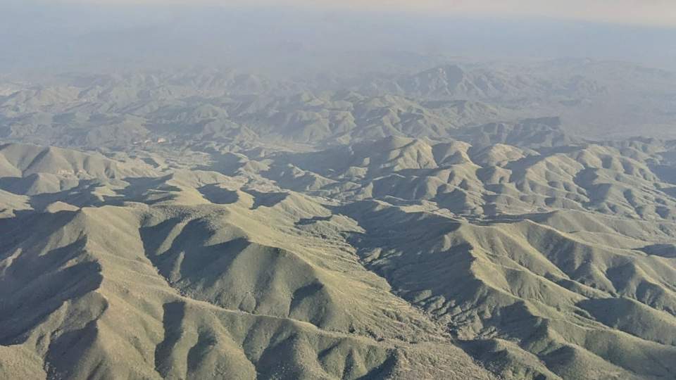 Gobierno del Estado recupera cubierta verde en terrenos para beneficio de productores ganaderos